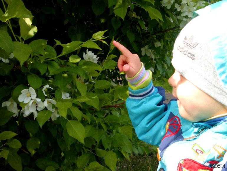 ФотоДневник. 18 мая 2014