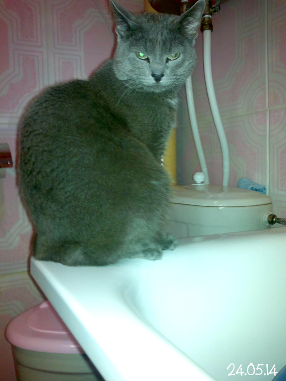 ФотоДневник. 24 мая 2014