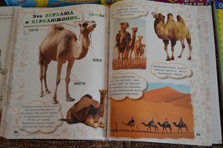 наши новые книги