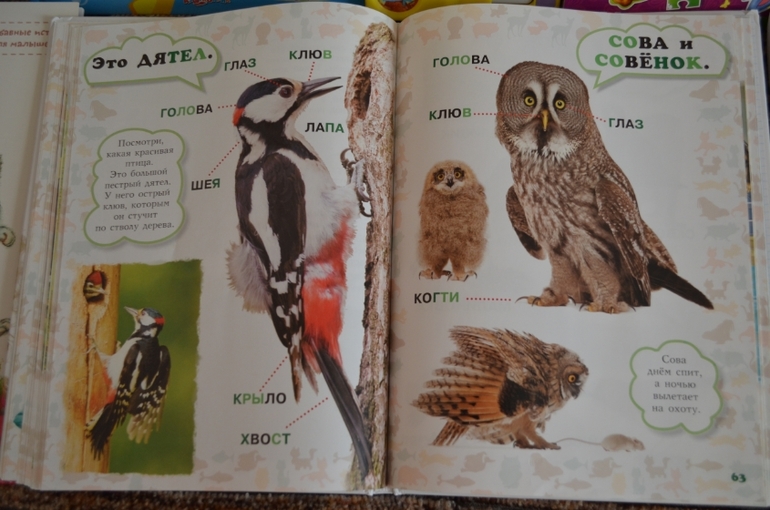 наши новые книги