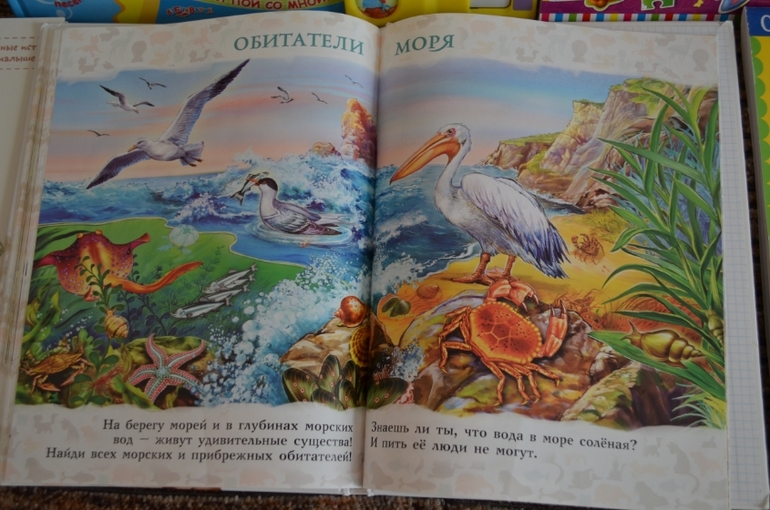 наши новые книги