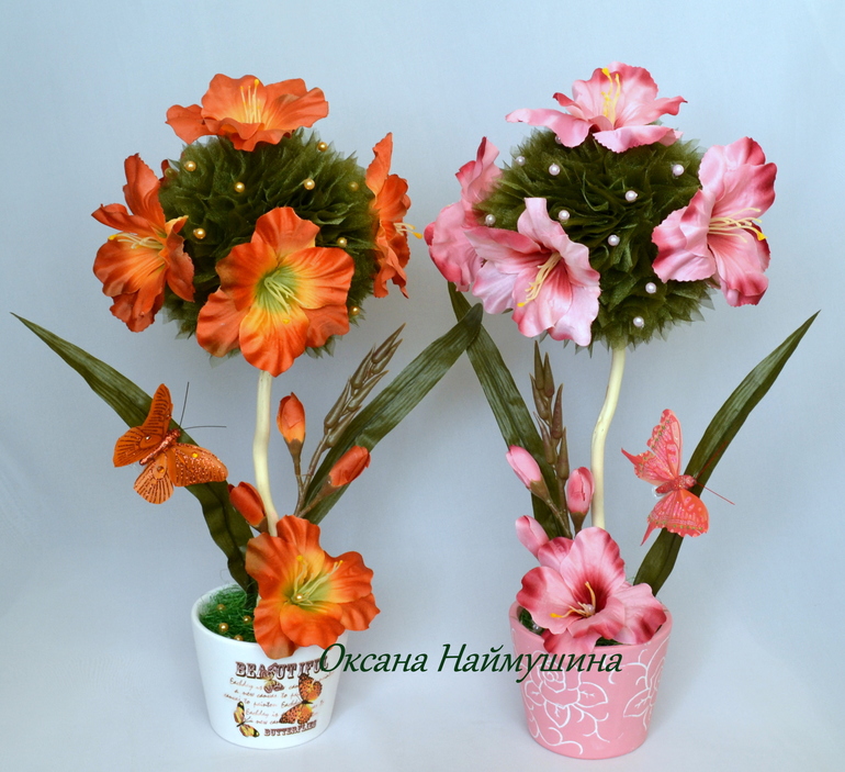 Гладиолусы