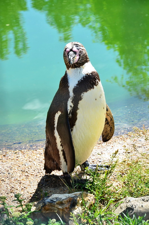 ВОРОБЬИный день :)