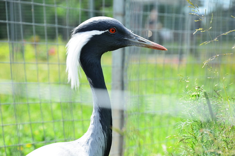 ВОРОБЬИный день :)