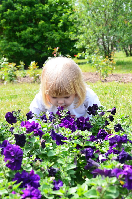 ВОРОБЬИный день :)