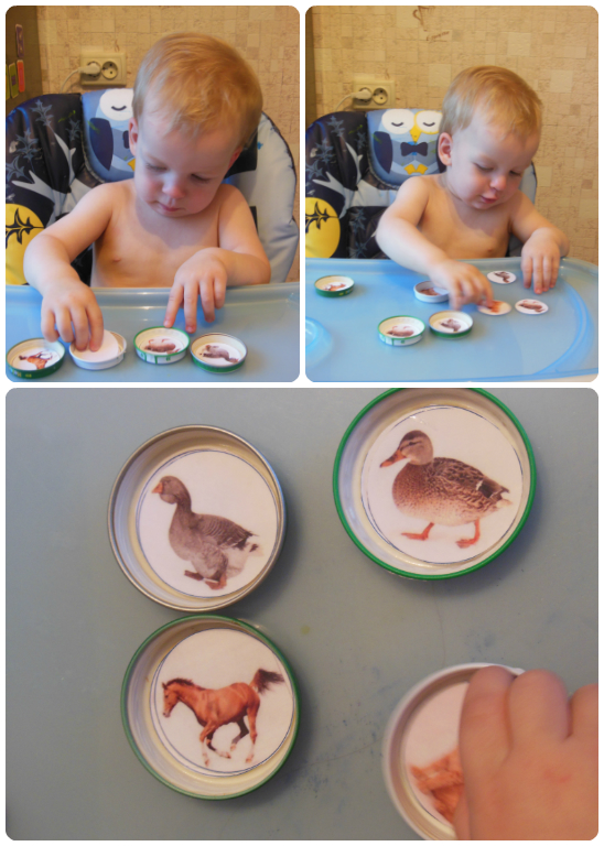 Отчет по ТЗ "Утка, Гусь" (продолжение)