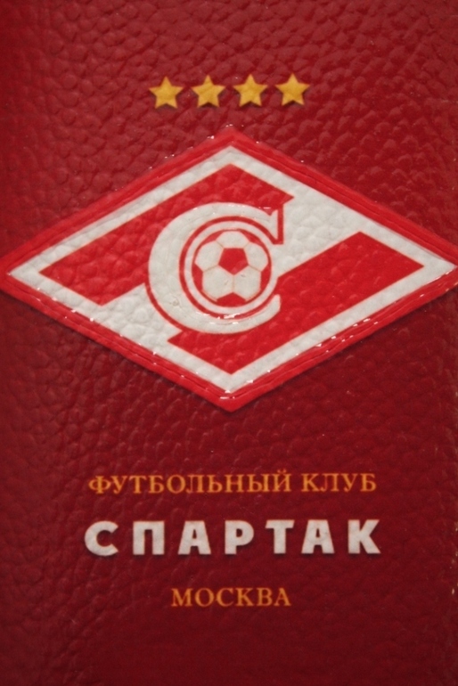 мой любимый декупаж на коже)))