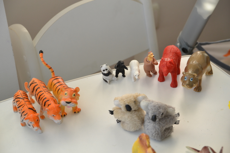 Директор зоопарка