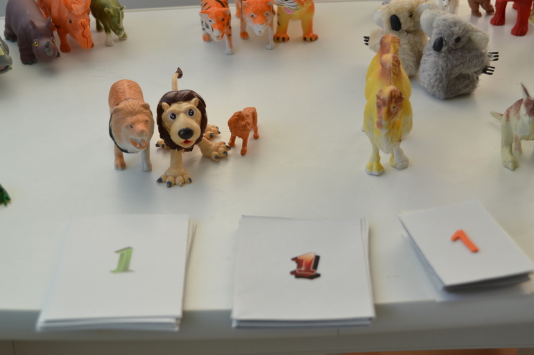 Директор зоопарка