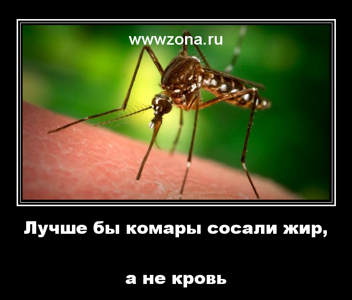 30 дней вокруг света – Глава 12 - Дюжина