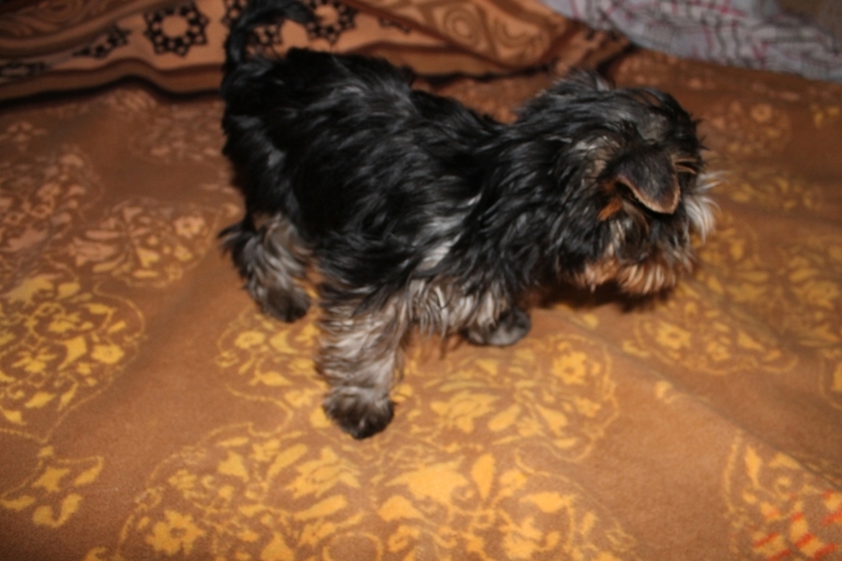 У нас появился еще один сынок...