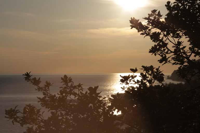 Волшебные Гагры