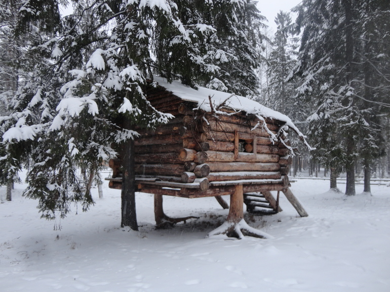 Отдых 30.11-01.12.2013 Драгунский ручей СПБ