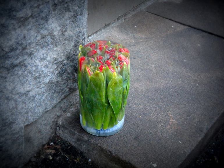 Cъездили в Финку