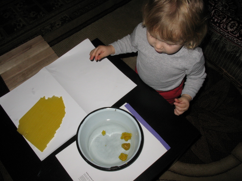 Лепка. Животные.