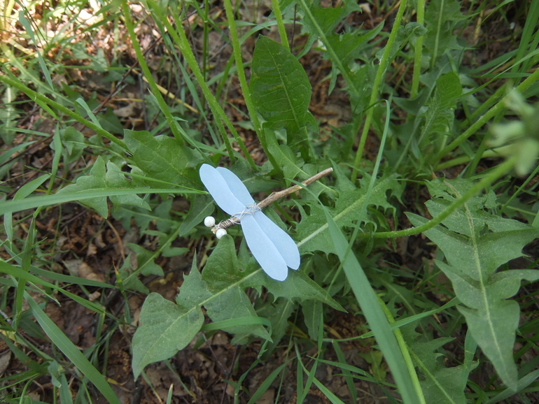 Спектакль. Сказка про гусеницу, которая стала бабочкой.