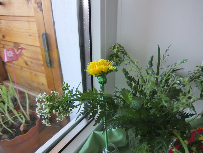 Столик времен года. Конец мая.