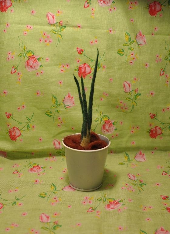 Лук, просто лук