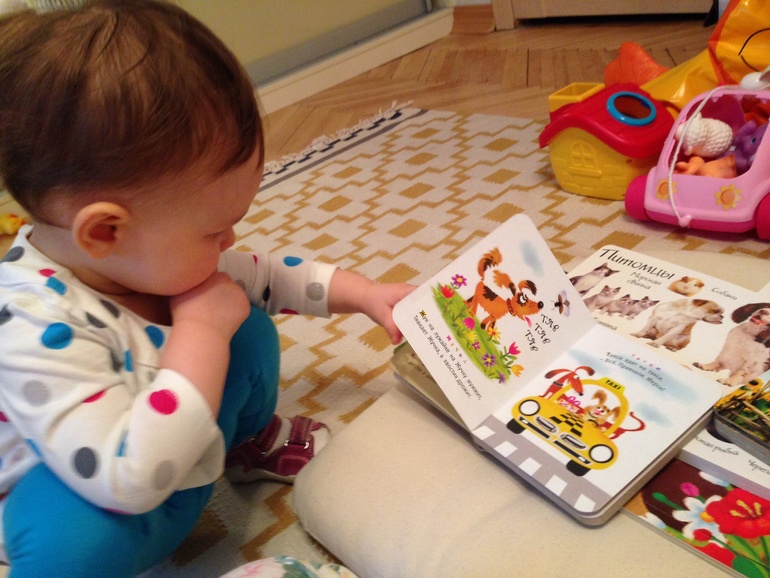 ТН Котенок и Щенок - День 2 'Собаки'