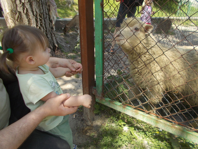 Чудесная ББ встреча)))) 24.05.2014 Шевченковский Гай.