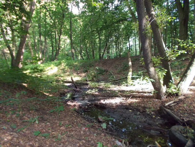 Вчерашний день в фото и видео 05.07.2014