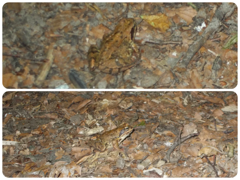 Вчерашний день в фото и видео 05.07.2014