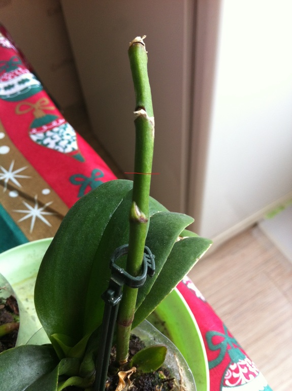 Два вопроса