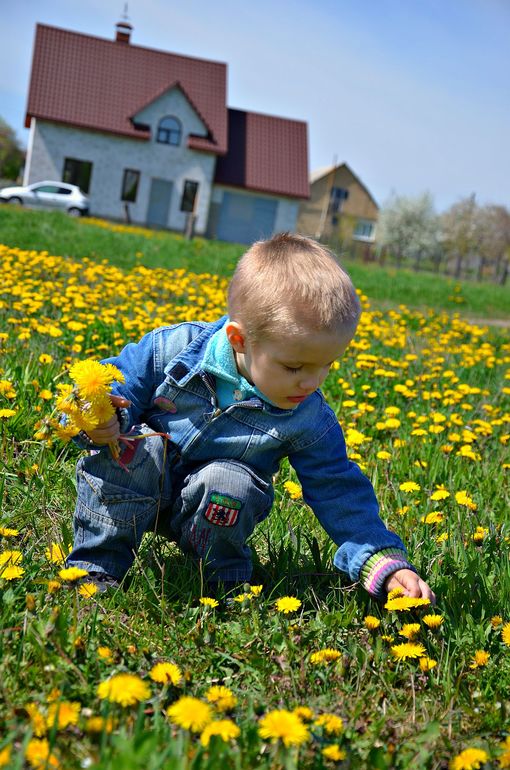 Зачем строить дом??? (с фото)