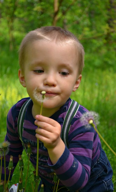 Трехлетие двойняшек (фотоотчет ДР)