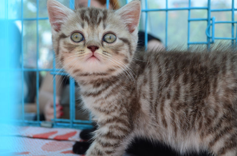 Феерверк Добра. Фотоотчет.