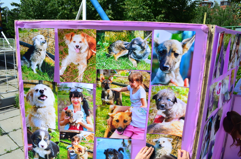 Феерверк Добра. Фотоотчет.