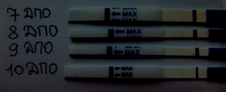 У меня уже голова кругом! Тесты