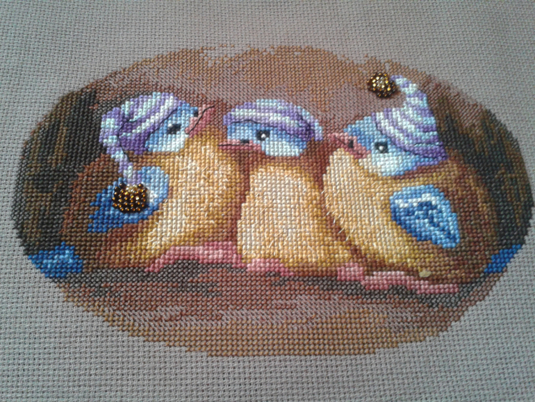 Птенцы и другие....