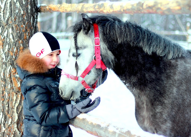 Лошадки!!  Любимые.....и немного фото домашне-гулятельных
