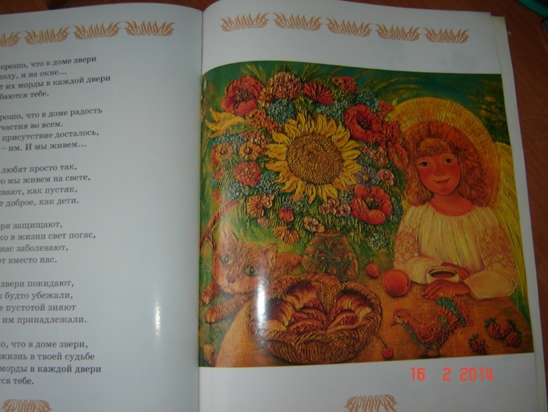 О кошках и котах