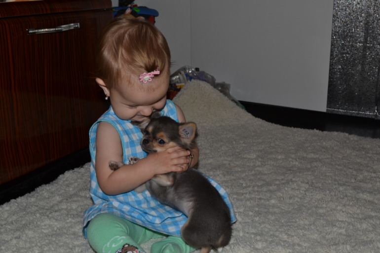 А у нас уже  косички))))