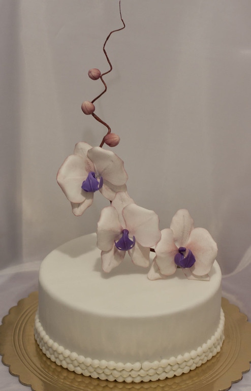 Орхидеи для мамы.