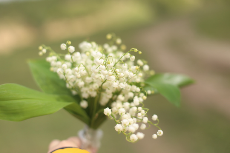 Были сегодня в деревне)