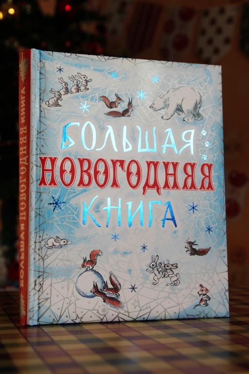 Новогодне-зимние книги