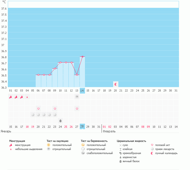 Второе УЗИ на клосте 100 мг