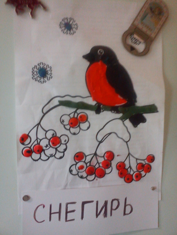 День 5. Птицы леса - продолжение