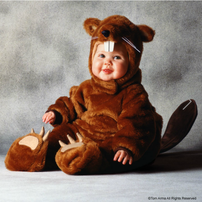 Пожалуйста, спасите животных