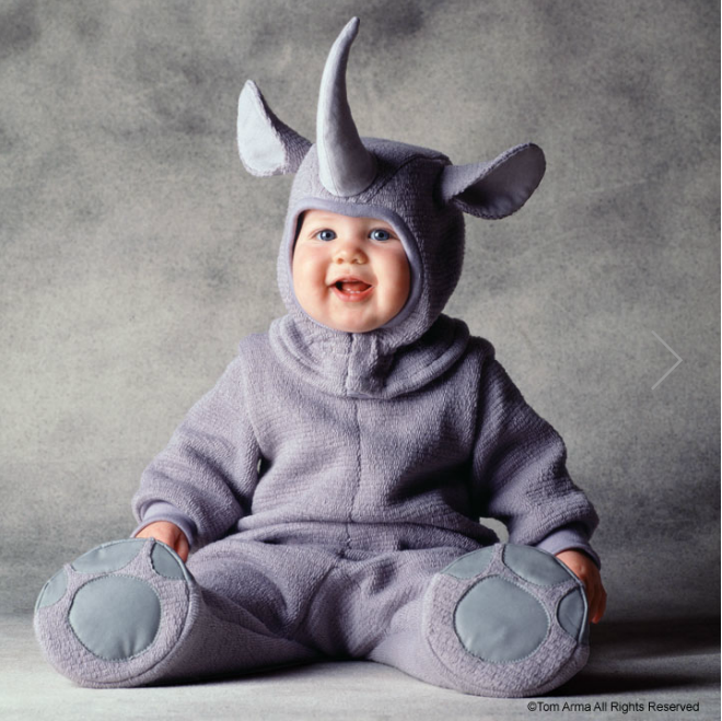 Пожалуйста, спасите животных