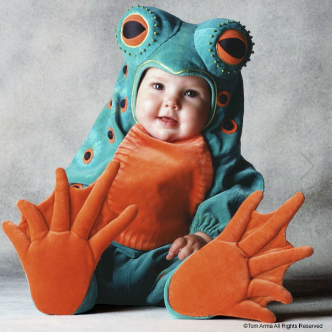 Пожалуйста, спасите животных