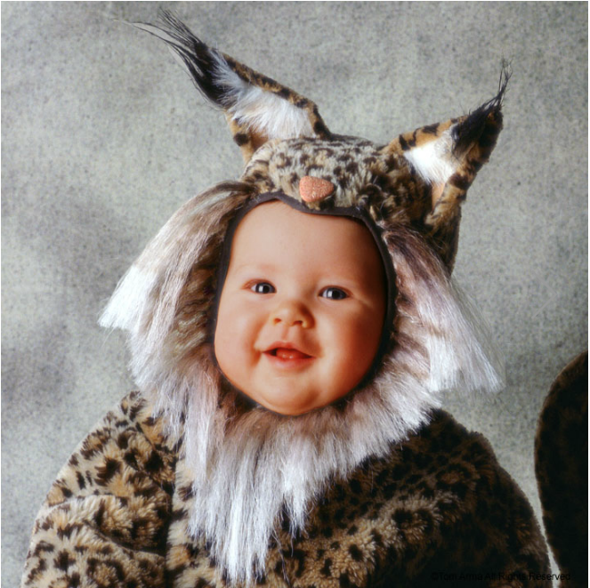 Пожалуйста, спасите животных