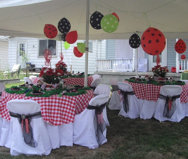 Little party: День Рождения-пикник в стиле божьей коровки