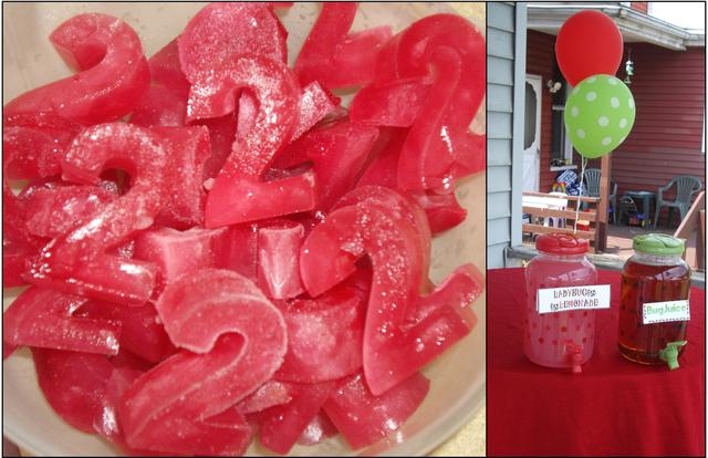 Little party: День Рождения-пикник в стиле божьей коровки