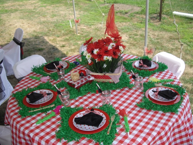 Little party: День Рождения-пикник в стиле божьей коровки