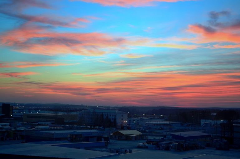 Мы веселые медузы, мы похожи на арбузы.(с) 35 недель.