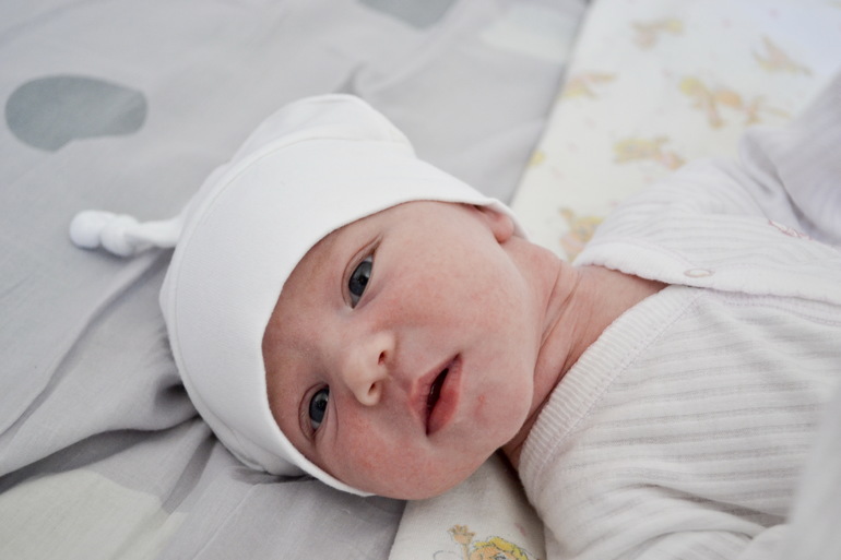 Отчет 1 год.